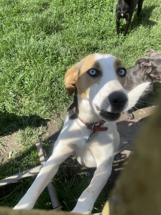 Прилаштовкється у добрі ручки !