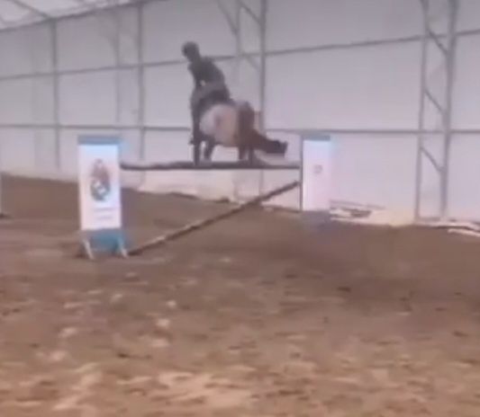 Kuc C Grupa do sportu, ambitnej rekreacji