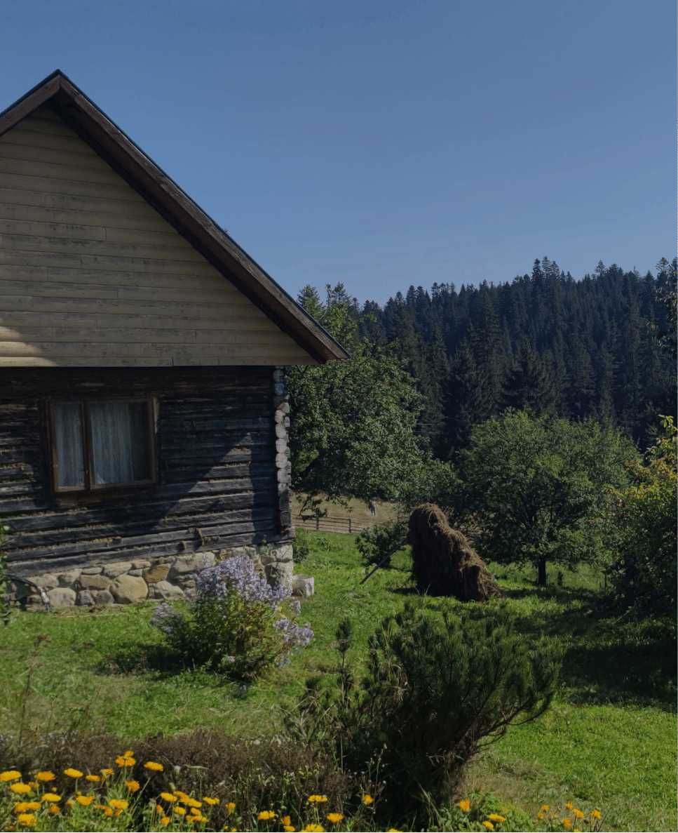 Оренда будинка в Карпатах, вид на гори,власний ставок - ferma_zatyshna