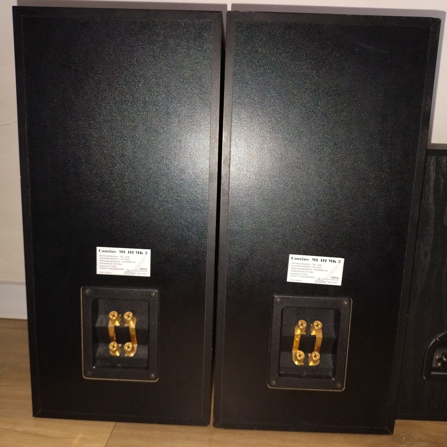 Kolumny ASW Cantius ml lII mk2