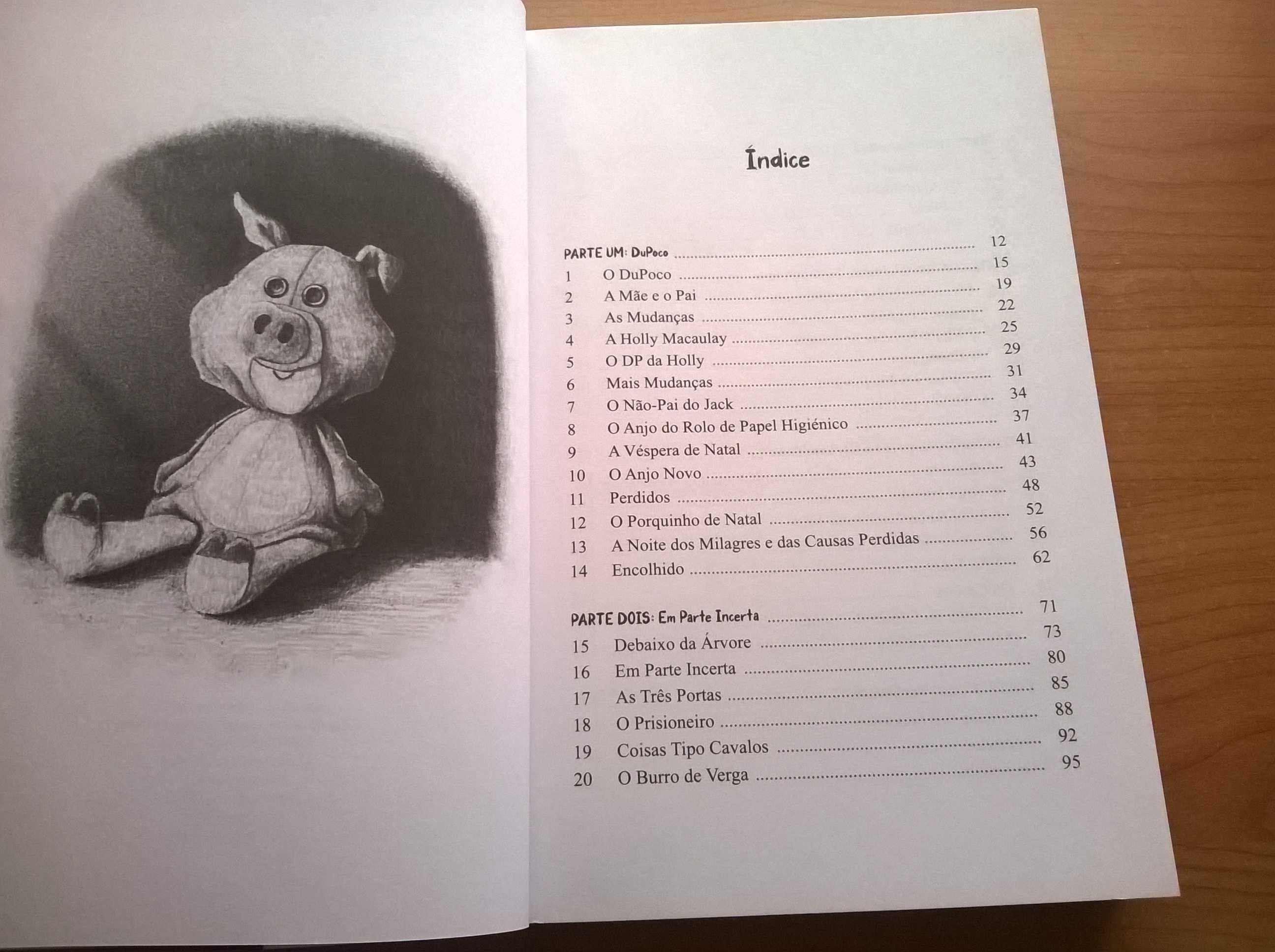 O Porquinho de Natal - J. K. Rowling (Autora de Harry Potter)