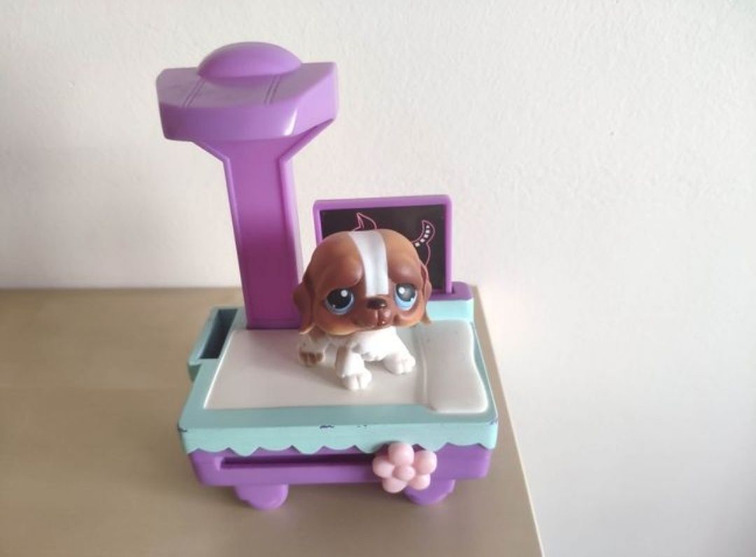 Oryginalna figurka Littlest Pet Shop LPS firmy Hasbro pies piesek bern