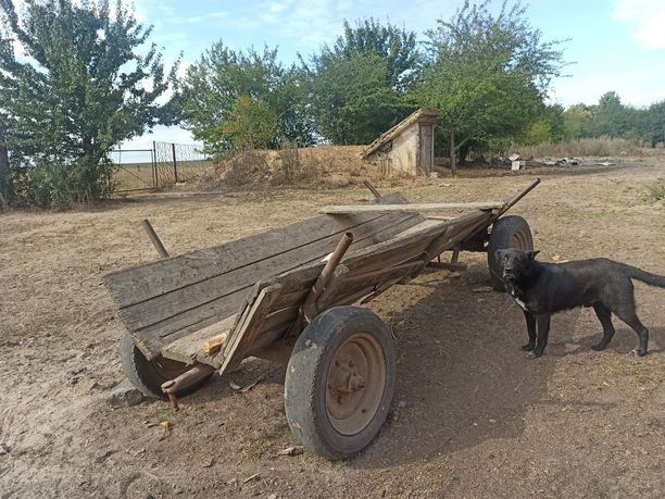 Віз, підвода  інше