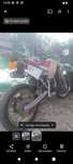 Troco infesa rotax