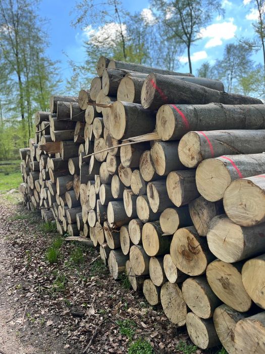 Drewno opałowe kominkowe sezonowane liściaste oraz sosna