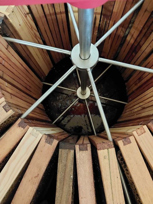 Miód spadziowy, pszczoły, pasieka, ul, ule