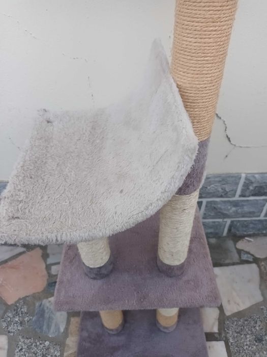Arranhador de gatos