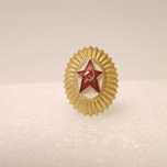 Insígnia da União Soviética URSS Rússia