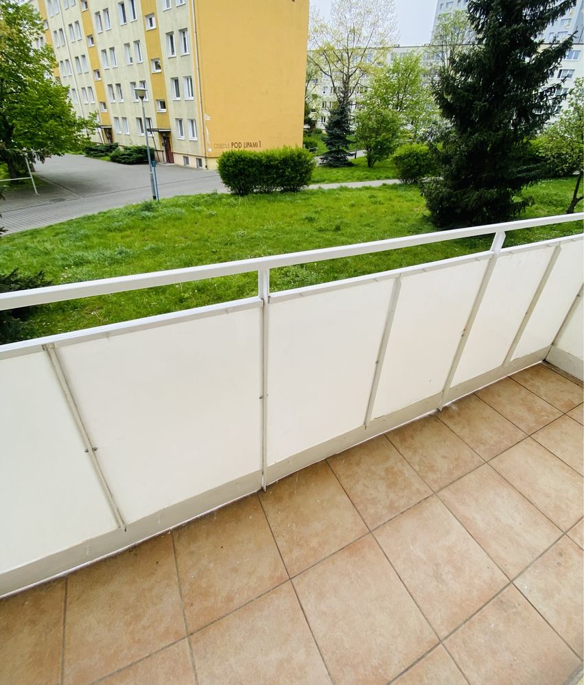 Trzy pokoje, balkon i osobna kuchnia z oknem. Winogrady