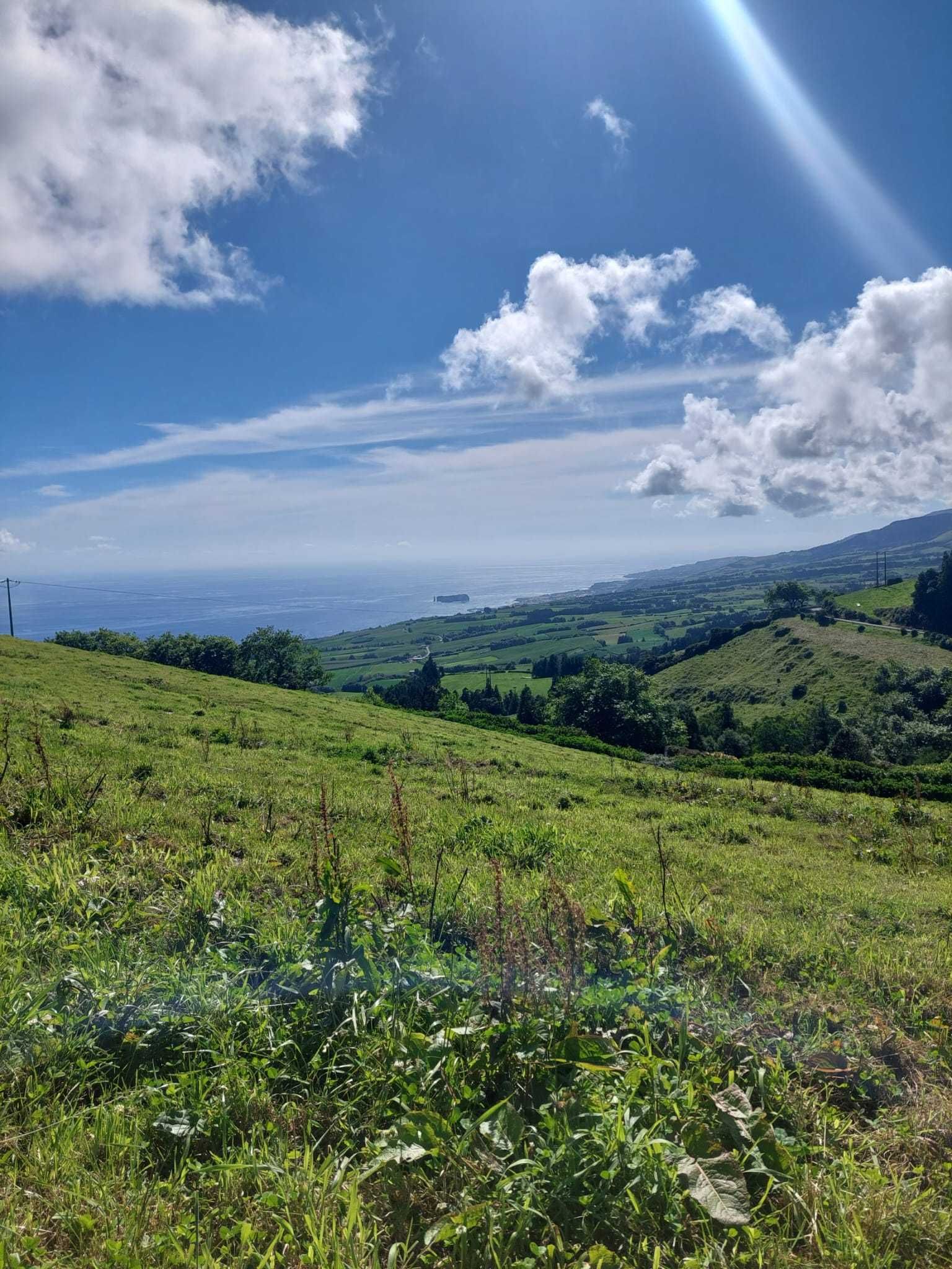 Terreno rural na Ponta Garça (Pico do Calvo) 1.13 ha