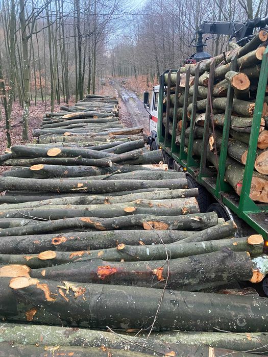 drewno kominkowe opałowe dąb buk jesion