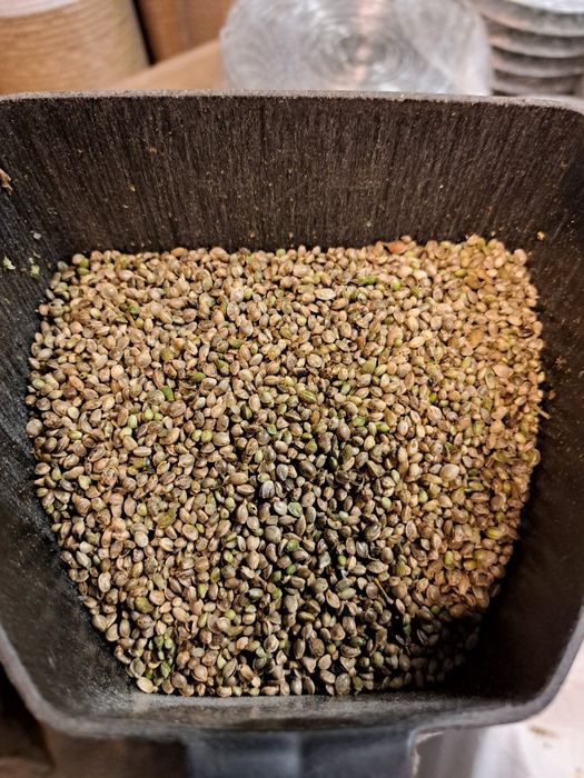 zanęta 10kg za 100 zł ,konopia na ryby