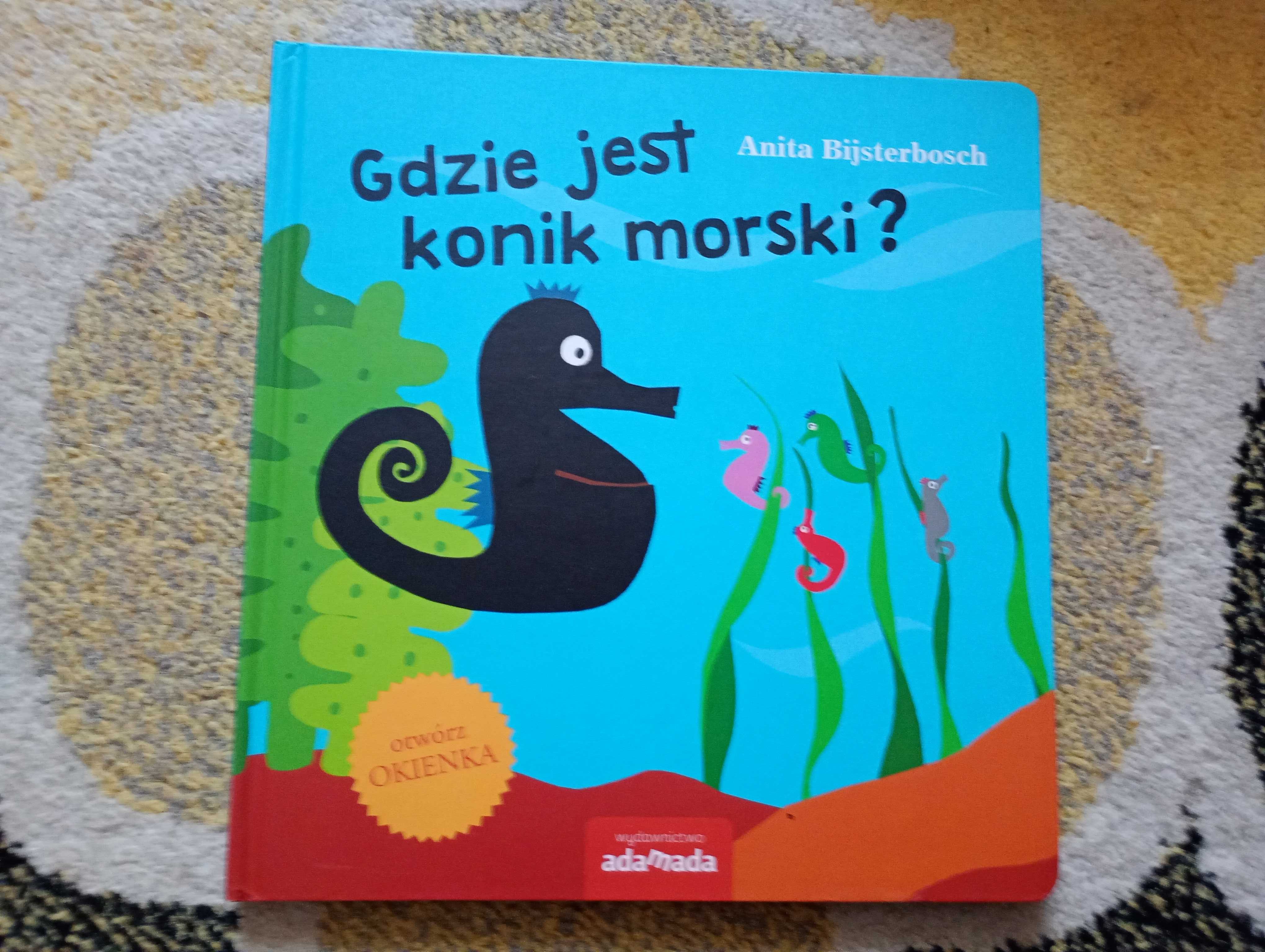Gdzie jest konik morski