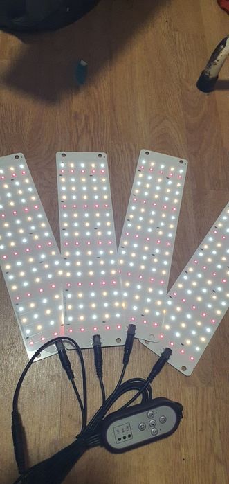 Luz led estufa plantas