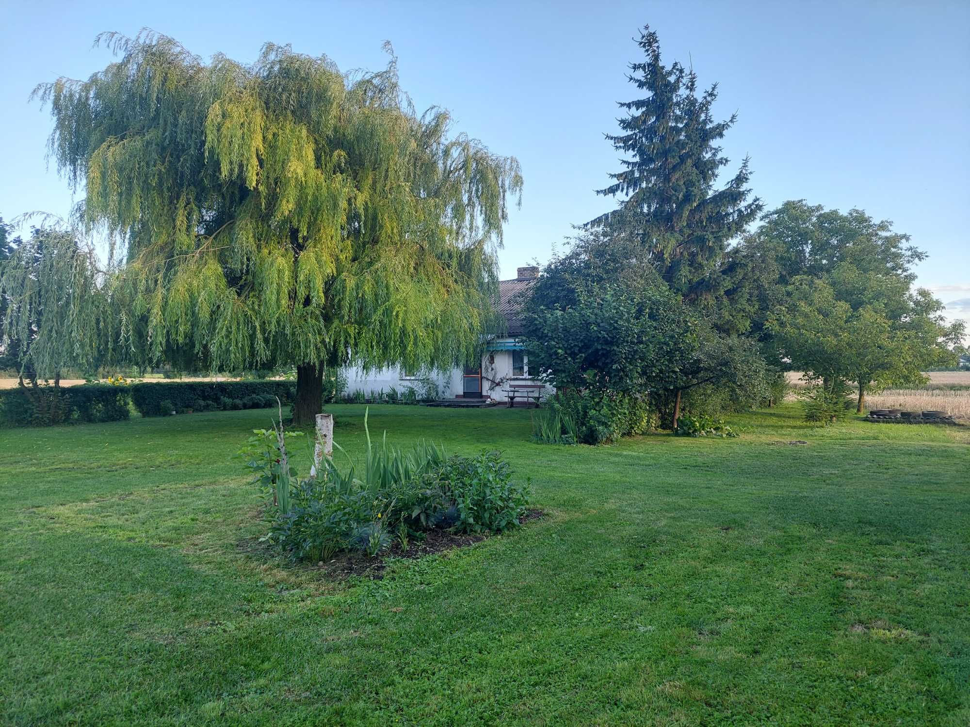 Dom z budynkami gospodarczymi i polem, Wakijów