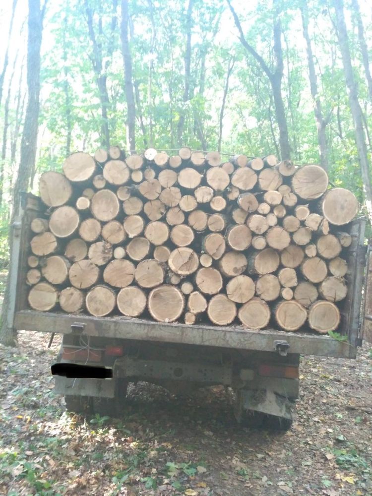 Продам Дрова твердих порід