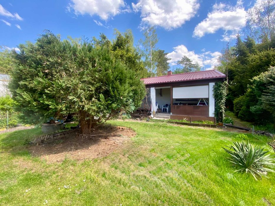 Działka ROD 467 m² pod lasem z domkiem całorocznym! ROD Bugaj