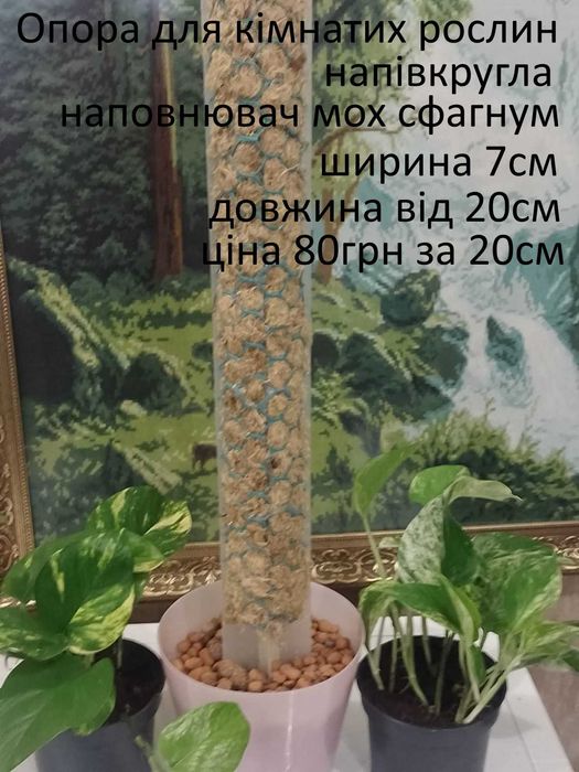 Опори для плетючих, кімнатних рослин.