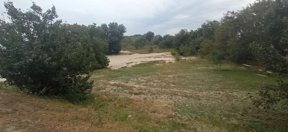Земельна ділянка в с. Червона Слобода