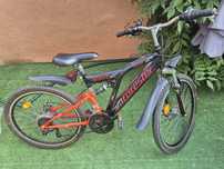 Rower Arkus Forester