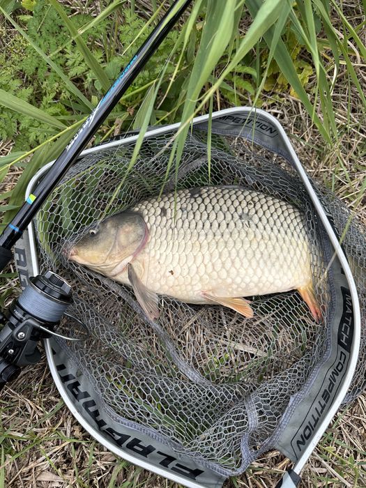 Preston Monster xtreme feeder 3,8 до 150 грм