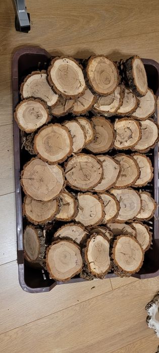 Stojaki pod winietki