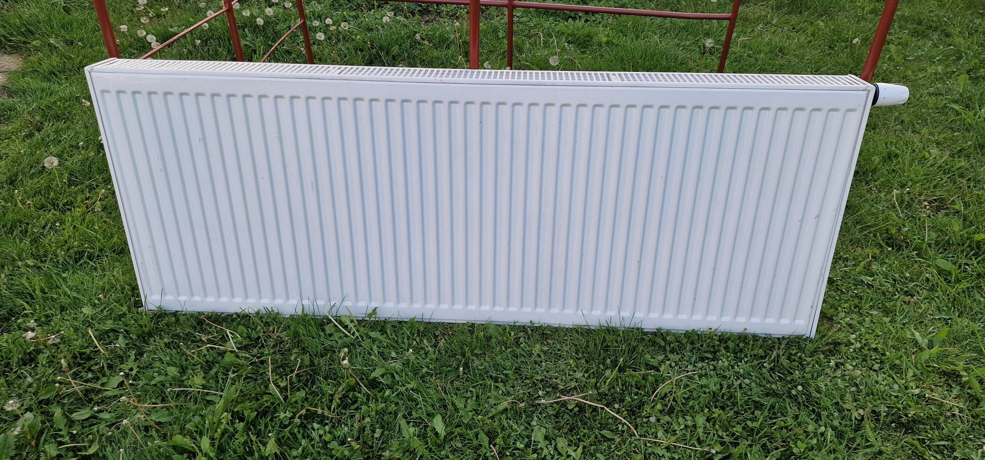 Grzejnik 160x60x10 Immergas, termostat, podłączenie dolne