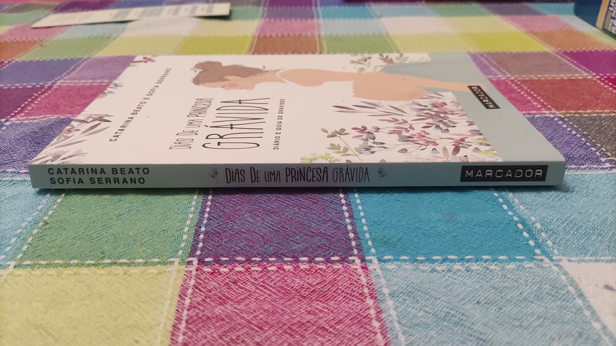 Livro Dias de uma Princesa Grávida