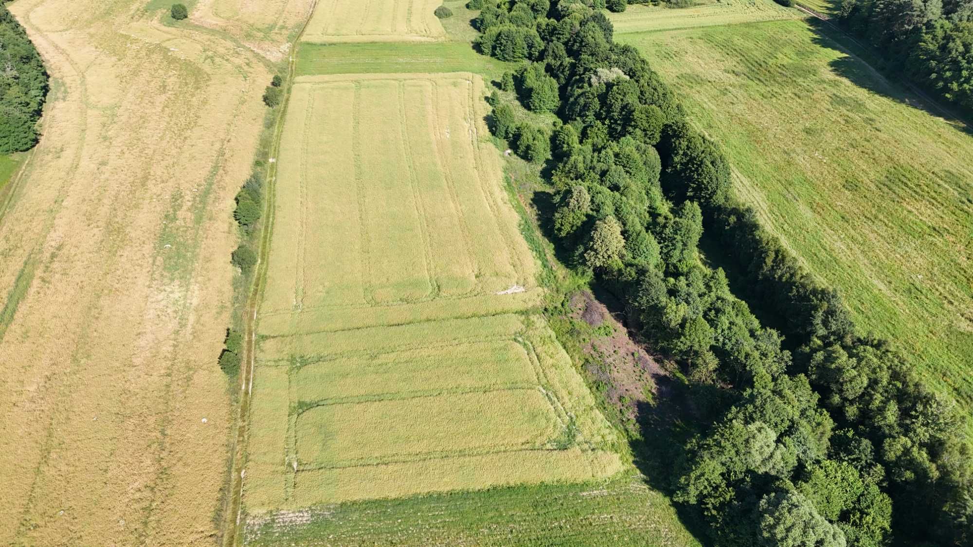 Działka zagrodowa z prawem do zabudowy