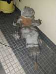 Motor INNOCENTI  lembro