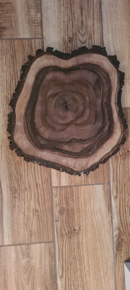 Plaster orzecha włoskiego