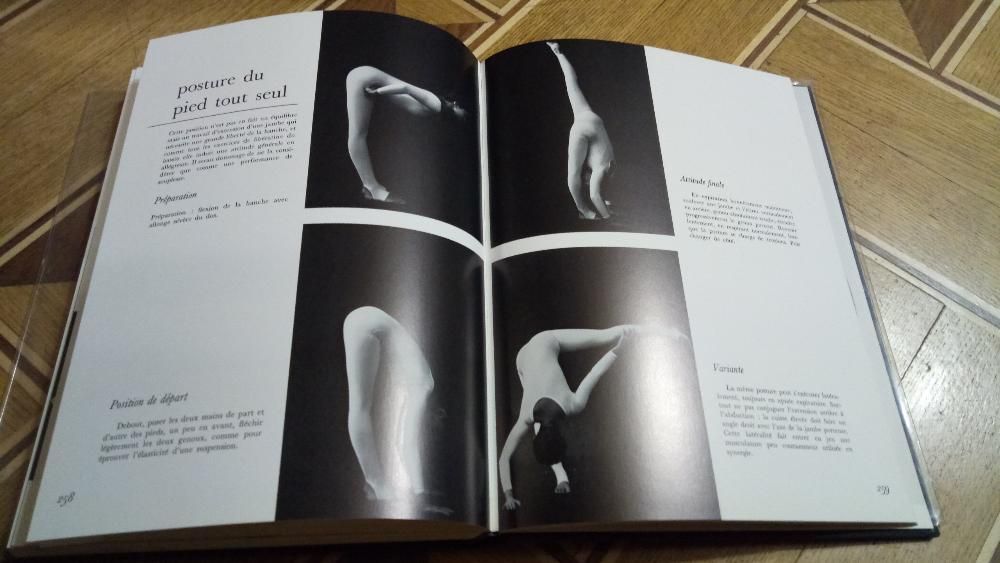 hatha-yoga (Eva Ruchpaul)