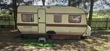 LMC  Munsterland Lord 500
