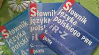 Słownik języka polskiego PWN na CD 3 części