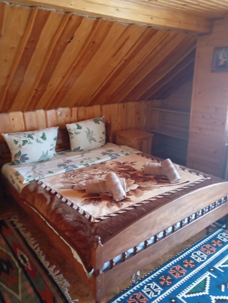 Котедж Сонячний. Говерла