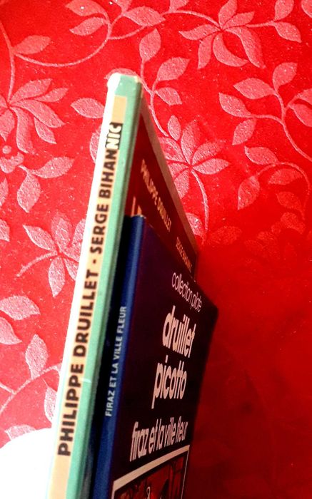 BD - Philippe Druillet - Firaz et la Ville Fleur/Le Mage Acrylic