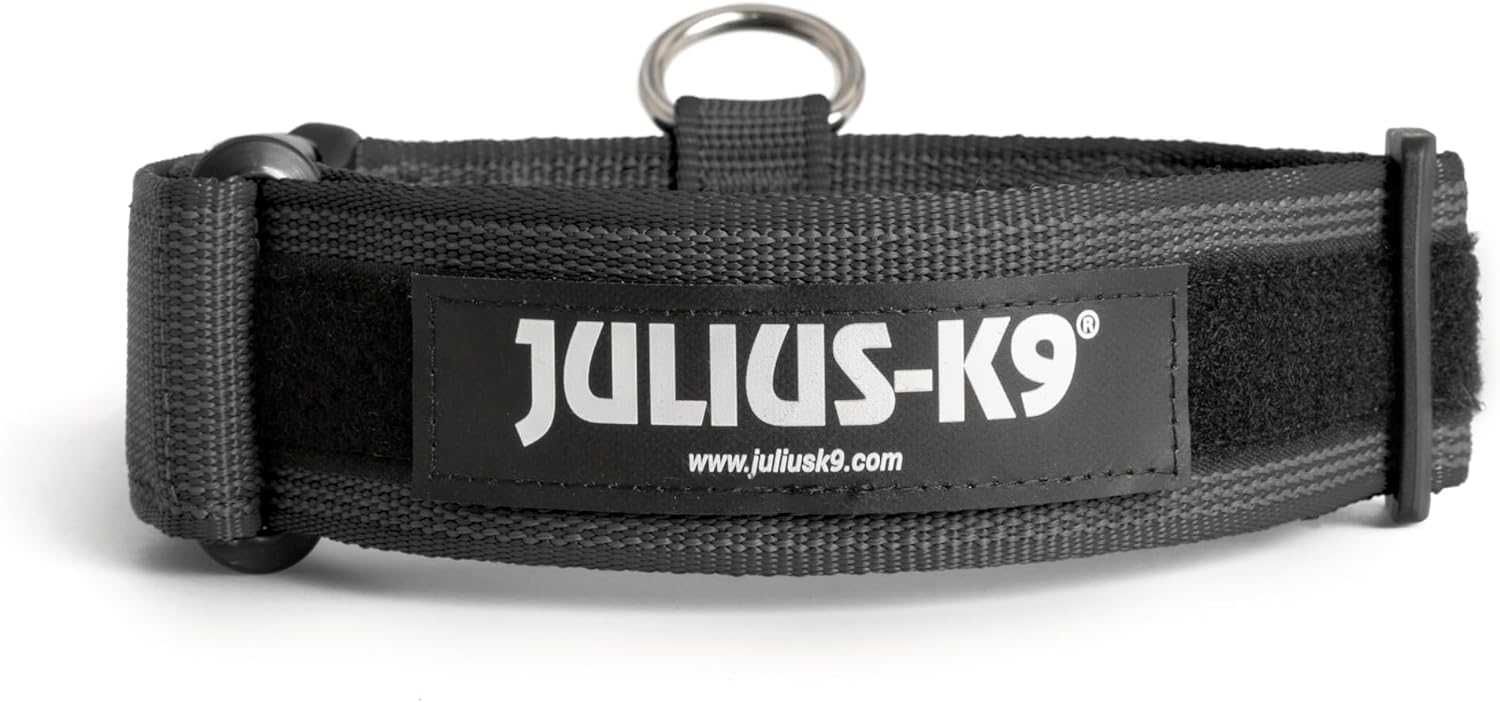 Julius-K9 obroża z uchwytem 50 mm, 49–70 cm, czarno-szara + gratis