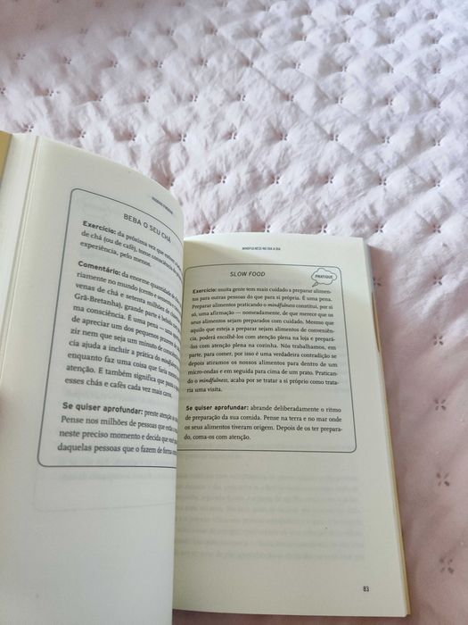 Livro Mindfullness no dia a dia