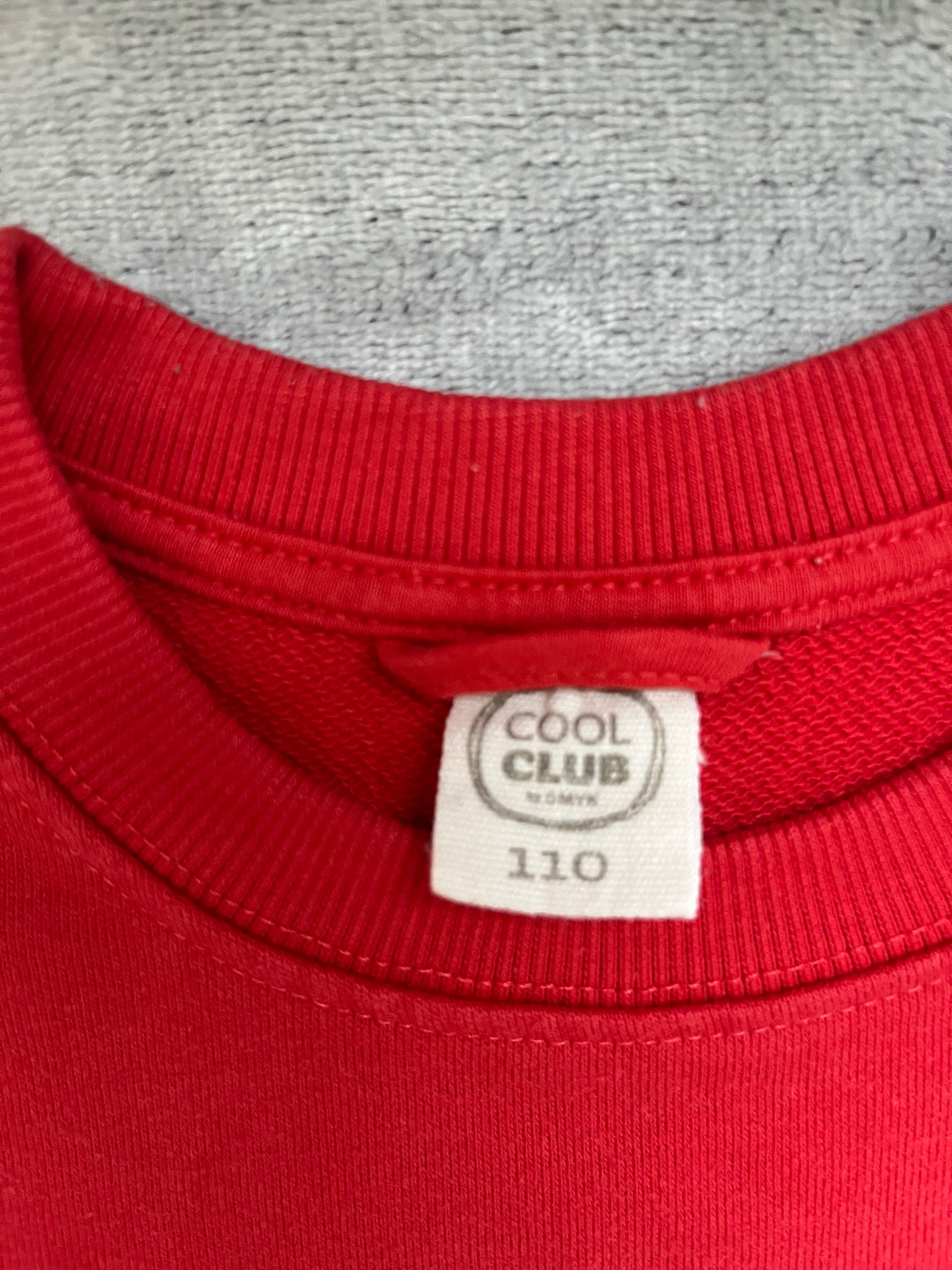 Bluzy chłopięce rozm. 110