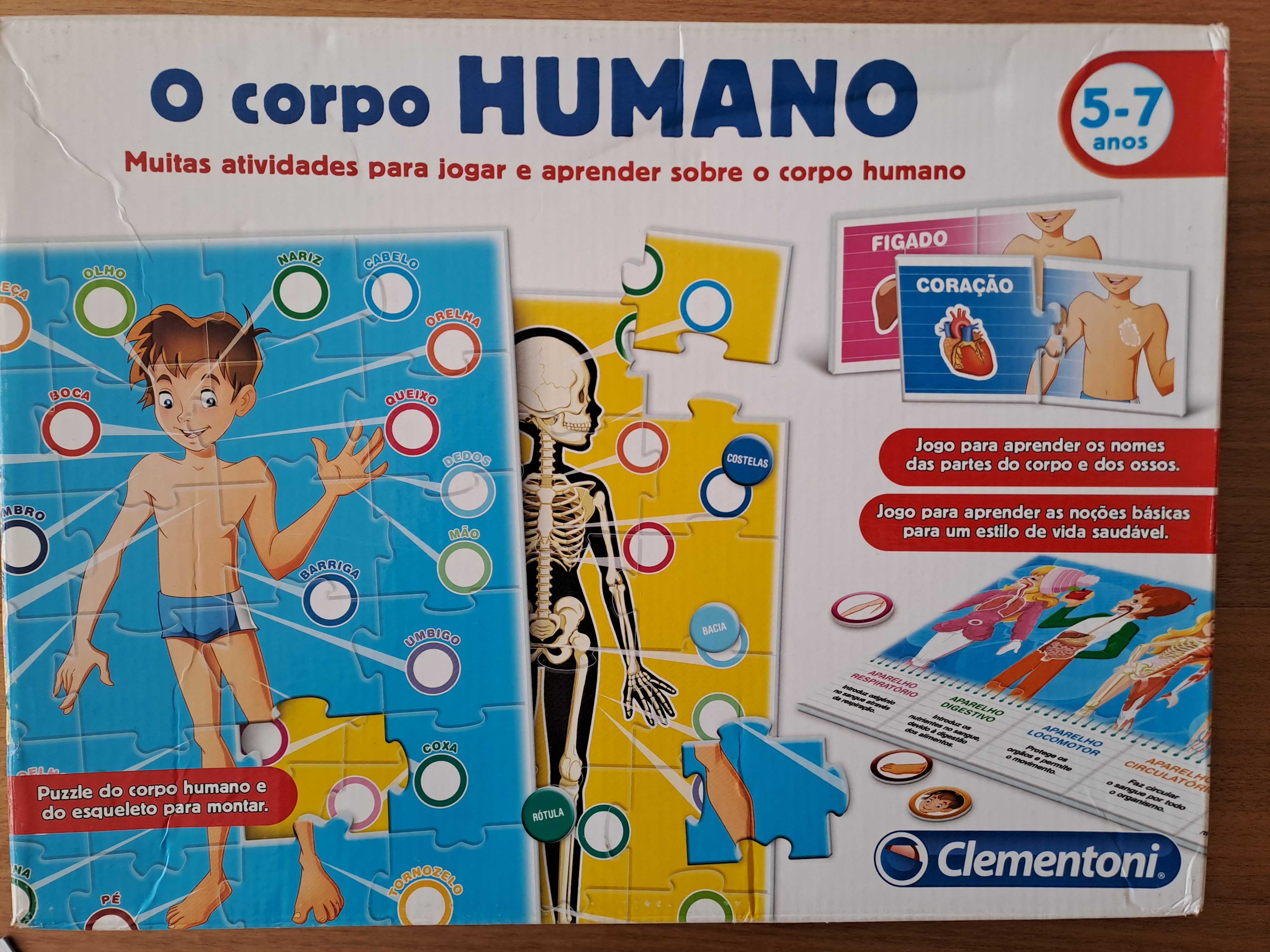 Puzzle O corpo humano