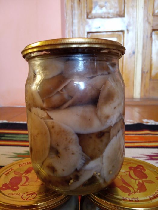 Продам мариновані опеньки