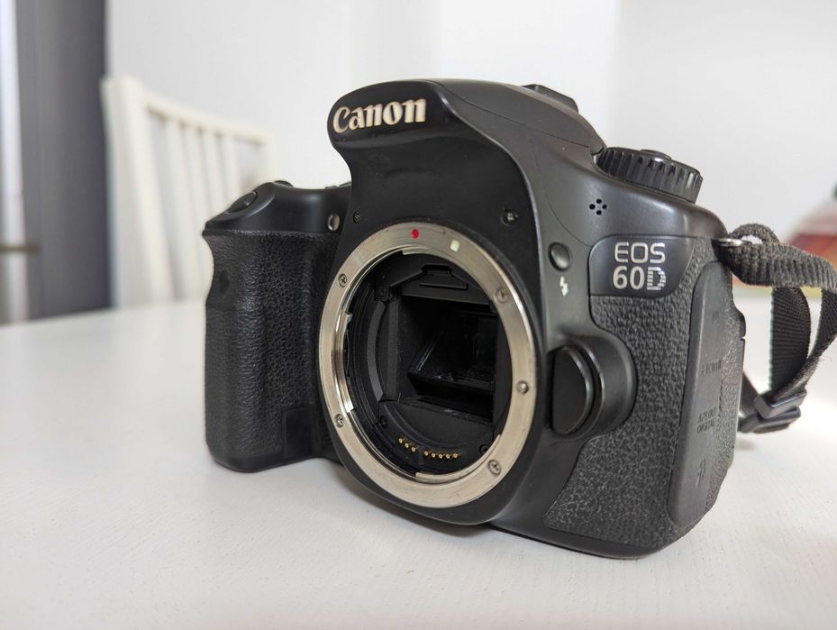 Canon 60D/Canon EF-S 17-55mm f/2.8/punho da bateria/carregador/estoja