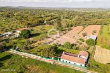 Quinta de 9250m2 c/ Moradia T4 térrea, anexo e armazém | Azaruja