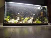 Akwarium 200l + zestaw.