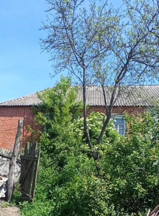 Продам цегляну окрему половину будинку в Золочеві під ваш ремонт.