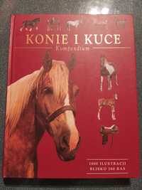 Konie i kuce Kompendium Album