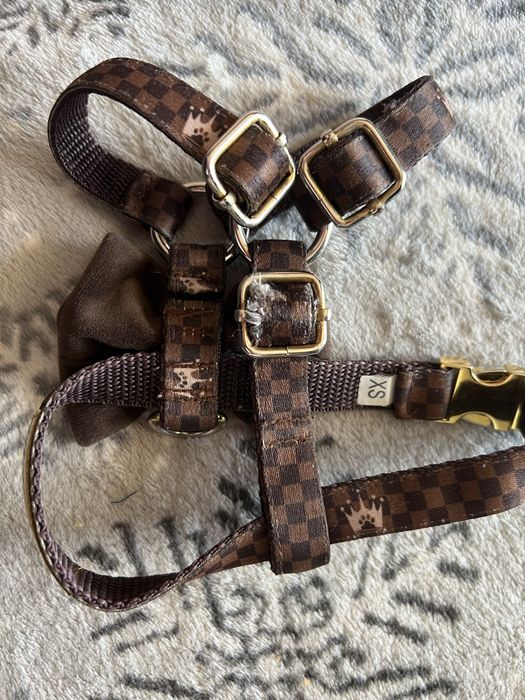 Luksusowe szelki guard dla psa Royal Puppy XS brązowe kolekcja Kylie