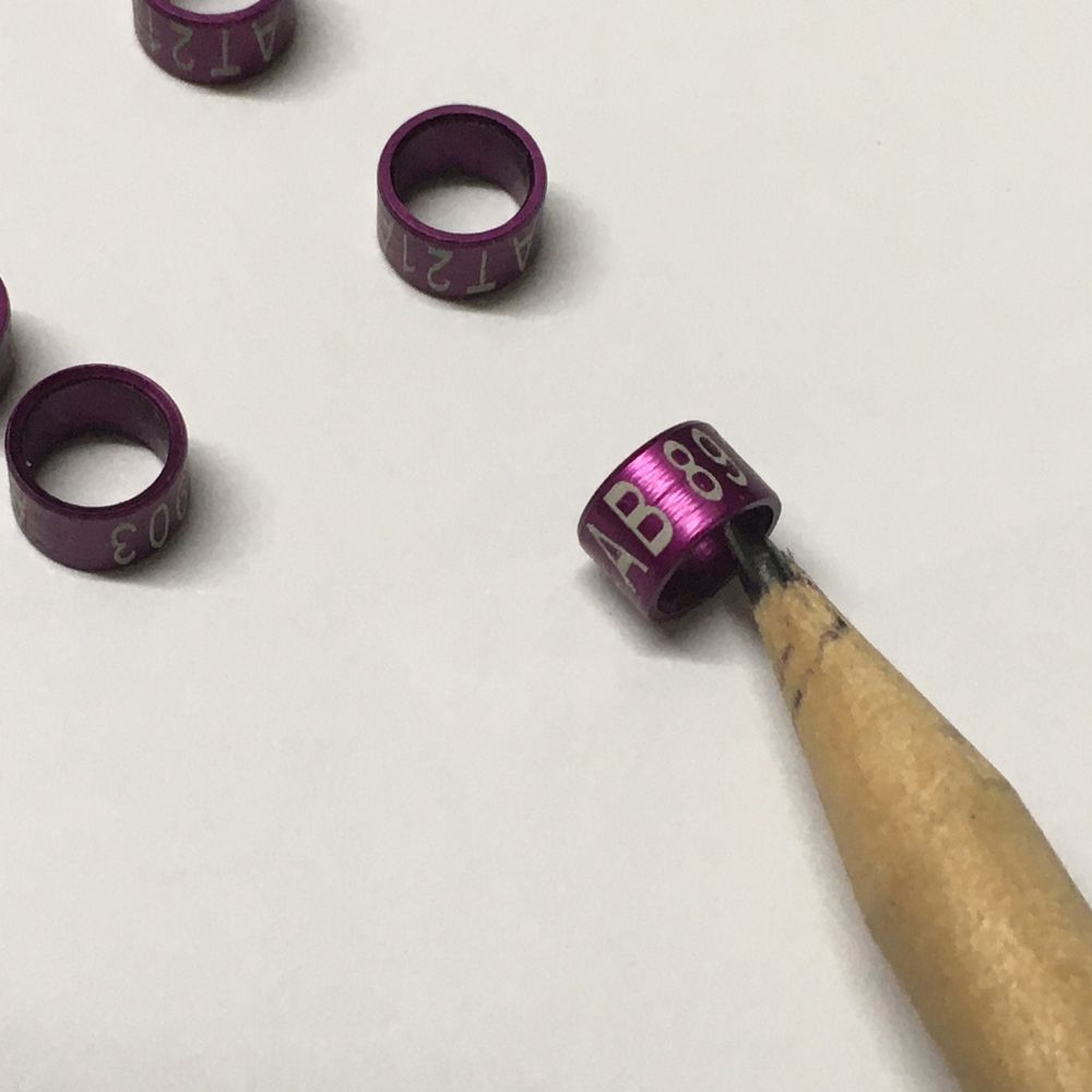 9 anilhas 5.5mm numeradas
