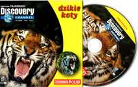 DZIKIE KOTY Discovery dvd