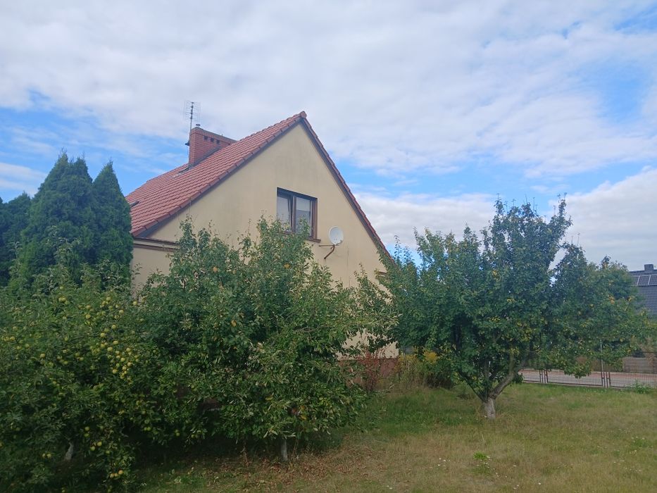Wynajmę dom w Kostrzynie
